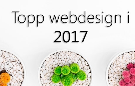 topp webdesign